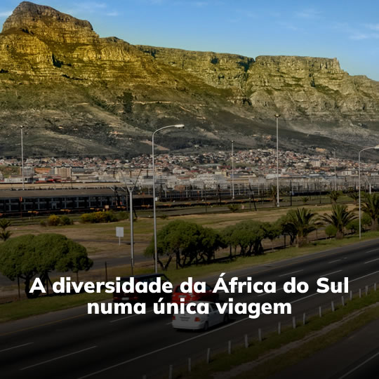 África do Sul com Safari - Pacote Turístico - Turvicam