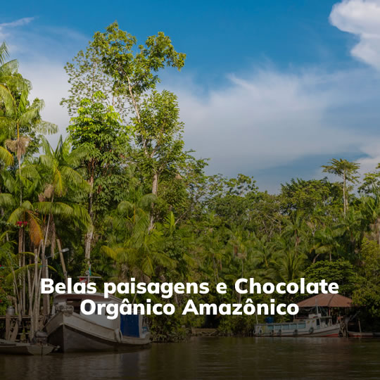 Combu dos Cheiros e Sabores Amazônicos - Passeio Regional - Turvicam Combu dos Cheiros e Sabores Amazônicos - Passeio Regional - Turvicam