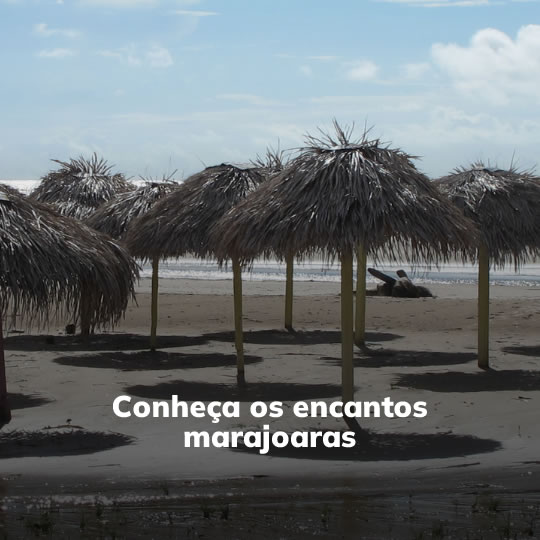 Belém e Ilha do Marajó - Passeio Regional - Turvicam