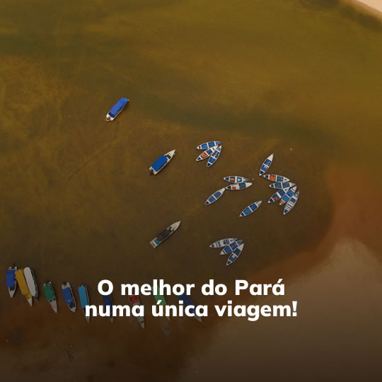 Belém, Ilha do Marajó e Alter do Chão - Passeio Regional - Turvicam