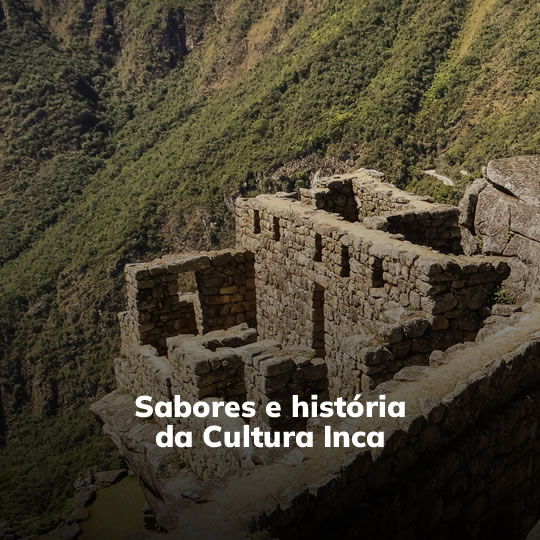 Machu Picchu e Valle Sagrado - Pacote Turístico - Turvicam