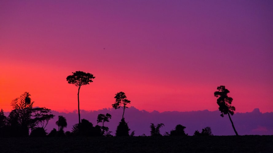 Bonito com Pantanal - Pacote Turístico - Turvicam Bonito com Pantanal - Pacote Turístico - Turvicam