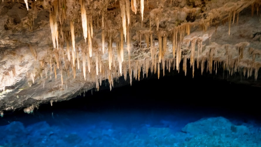 Bonito com Pantanal - Pacote Turístico - Turvicam Bonito com Pantanal - Pacote Turístico - Turvicam
