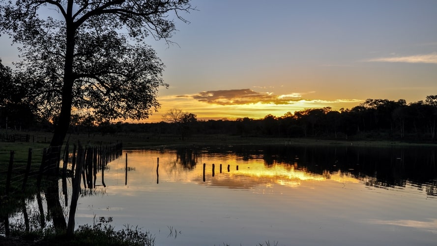 Bonito com Pantanal - Pacote Turístico - Turvicam Bonito com Pantanal - Pacote Turístico - Turvicam