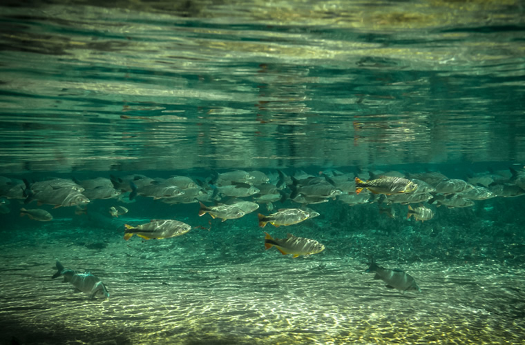 Bonito com Pantanal Turvicam Bonito com Pantanal Turvicam