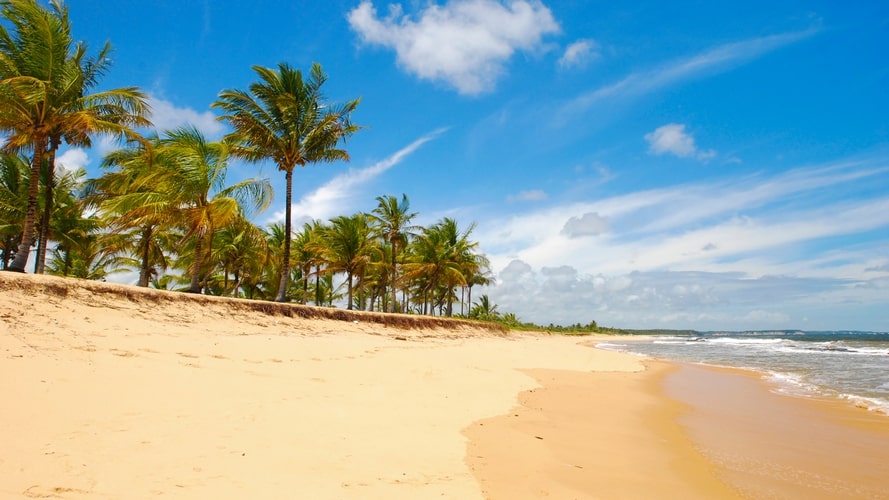 Litoral do Brasil - Pacote Turístico - Turvicam Litoral do Brasil - Pacote Turístico - Turvicam