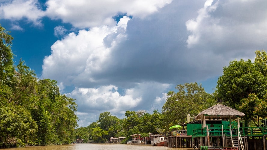 Conheça as palafitas coloridas pelos grafites da Ilha do Combu e seus sabores como o Chocolate Orgânico Amazônico. Conheça as palafitas coloridas pelos grafites da Ilha do Combu e seus sabores como o Chocolate Orgânico Amazônico.