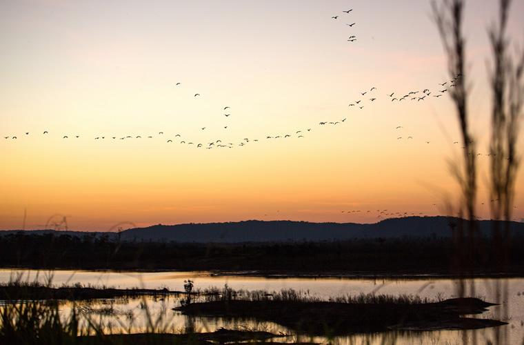 Ilha dos Papagaios, Furos & Igarapés Turvicam Ilha dos Papagaios, Furos & Igarapés Turvicam