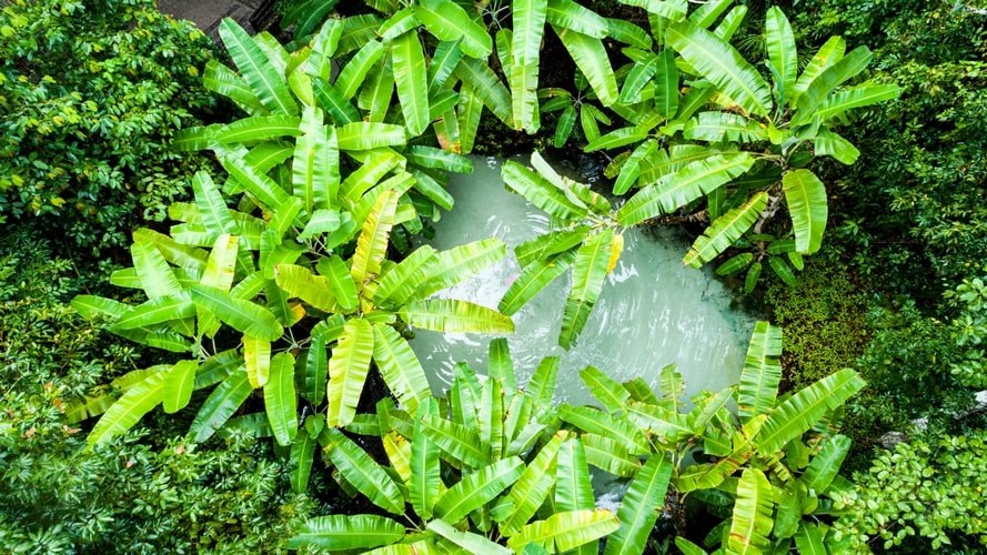 Jalapão e suas dunas - Passeio Regional - Turvicam Jalapão e suas dunas - Passeio Regional - Turvicam