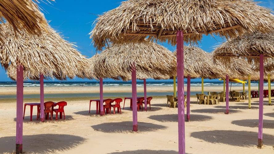 Belém, Ilha do Marajó e Alter do Chão - Passeio Regional - Turvicam