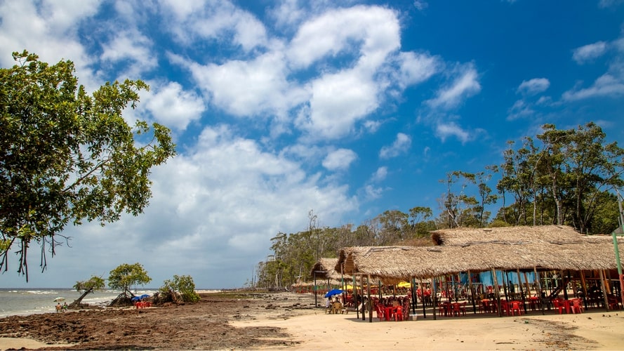 Belém, Ilha do Marajó e Alter do Chão - Passeio Regional - Turvicam
