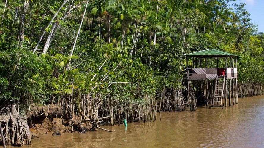 Ilha dos Papagaios, Furos & Igarapés - Passeio Regional - Turvicam