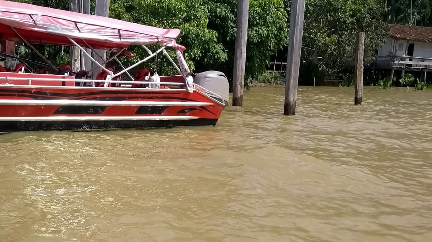 Ilha dos Papagaios, Furos & Igarapés - Passeio Regional - Turvicam