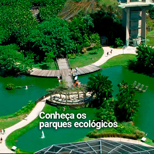 Conheça os parques ecológicos